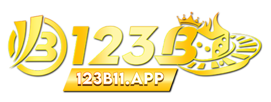 123b11.app
