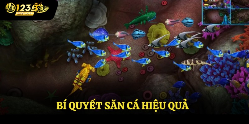 Bí quyết săn cá hiệu quả