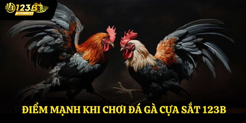 Điểm mạnh khi chơi đá gà cựa sắt 123B