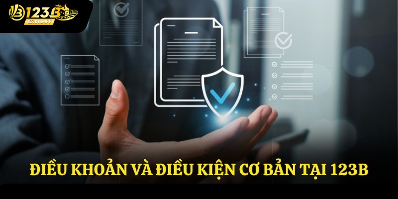 Điều Khoản Và Điều Kiện 3 Điều khoản và điều kiện cơ bản tại 123B