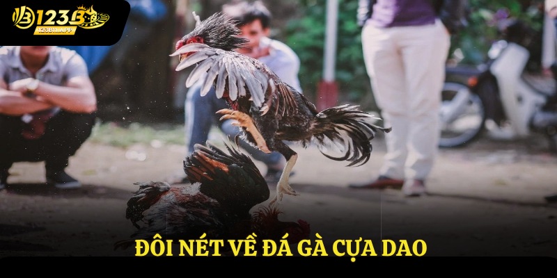 Đá Gà Cựa Dao 123B - Sàn Đấu Đẳng Cấp, Gay Cấn Của Cược Thủ 2 Đôi nét về đá gà cựa dao