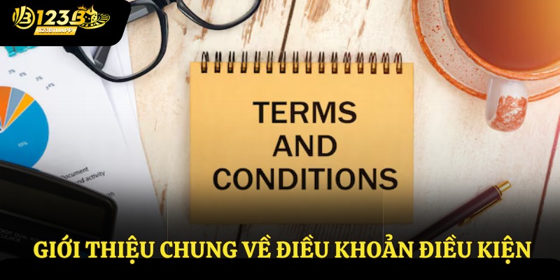 Điều Khoản Và Điều Kiện 1 Giới thiệu chung về điều khoản điều kiện